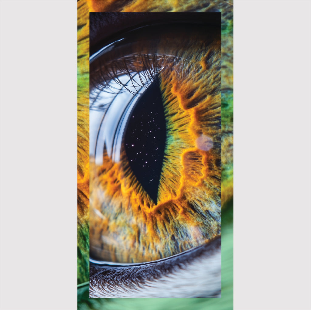 Quantum Pro Series Life